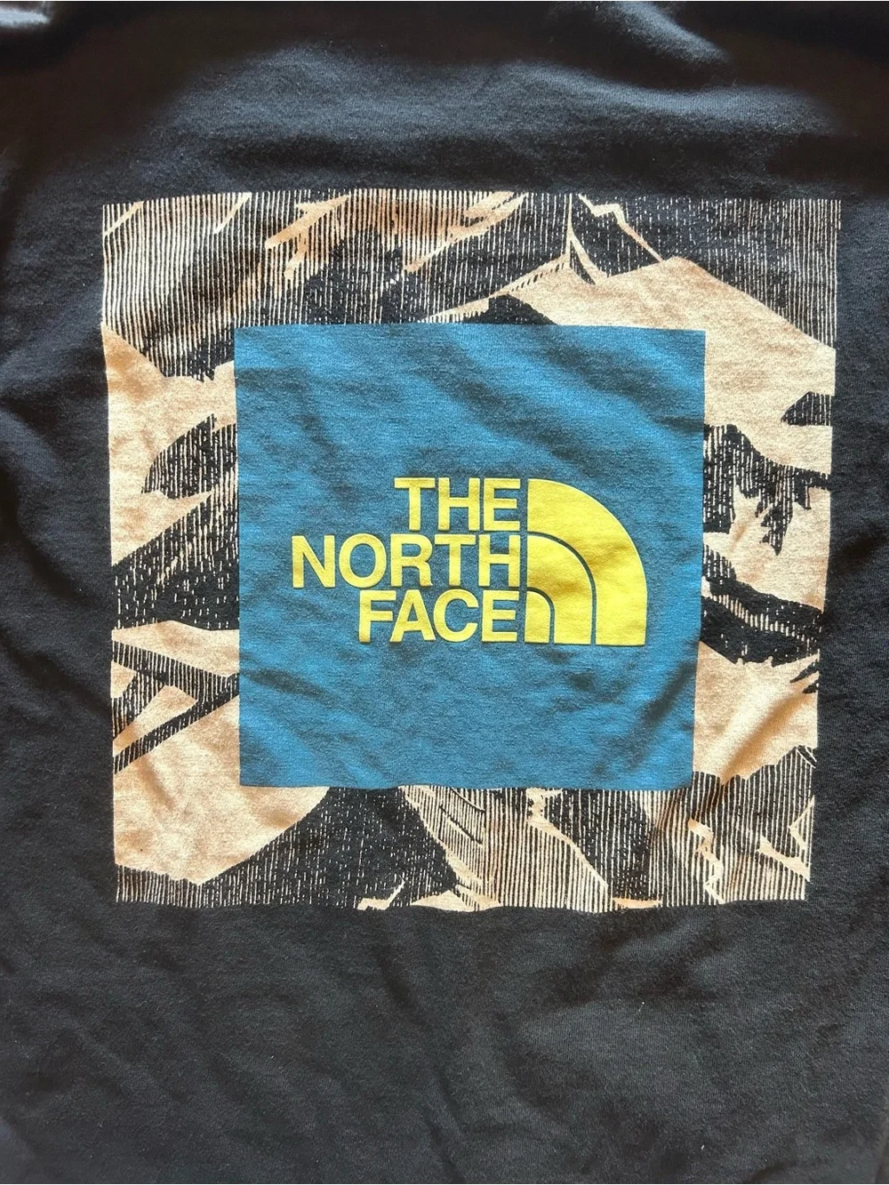 The North Face Men’s Small Black Long Sleeve Graphic Tee Back Logo